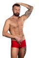 boxer push-up spider