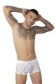 boxer push-up vertical line 