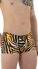 boxer push-up tiger