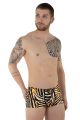 Bade-Push-up Boxer Tiger