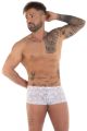 boxer pizzo foglia
