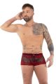 Boxer Spitze  Flock Love style  