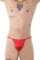 Bade-Ministring, Passion