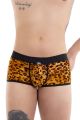 Boxer push-up Wild style
