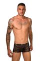 Boxer pizzo nero