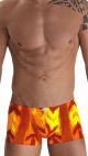 boxer mix fiamma 